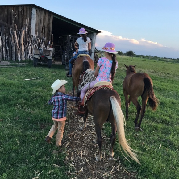 Meet your Posher, Jey - Picture 3 of 4